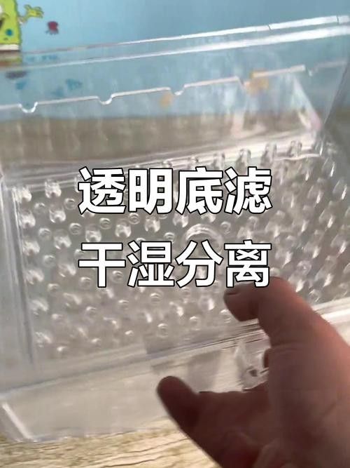 龍魚缸底濾濾材擺放教程圖解 龍魚缸底濾濾材擺放教程圖解 龍魚百科 第19張