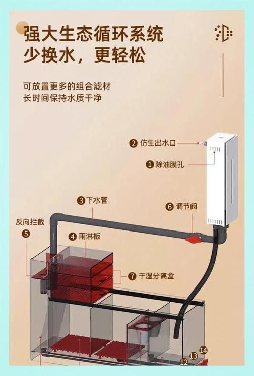 龍魚缸底濾濾材擺放教程圖解 龍魚缸底濾濾材擺放教程圖解 龍魚百科 第12張