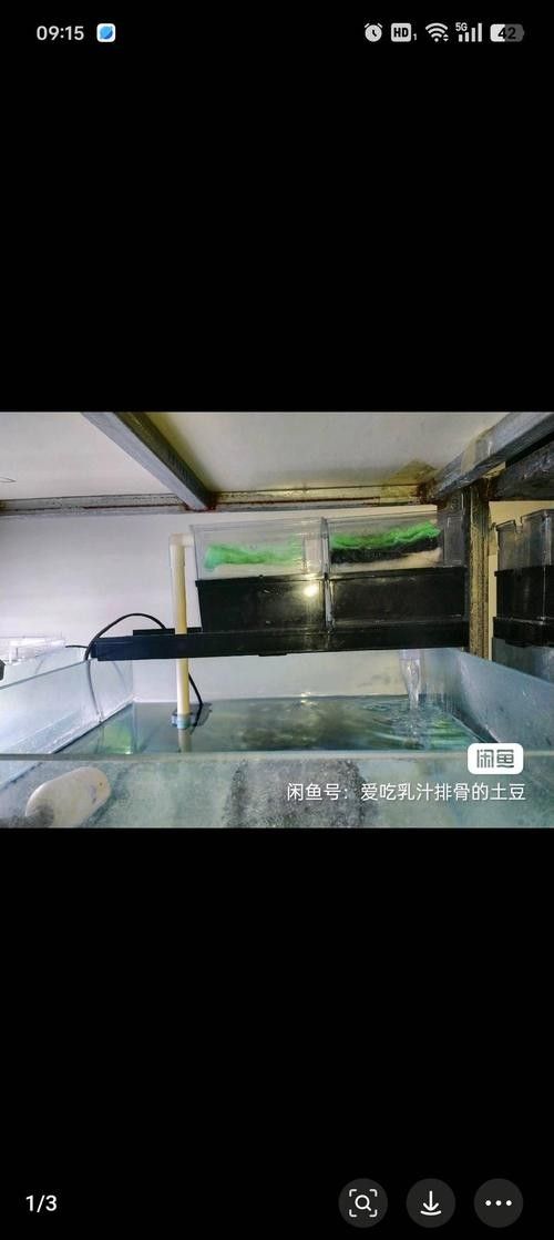 龍魚缸底濾濾材擺放教程圖解 龍魚缸底濾濾材擺放教程圖解 龍魚百科 第42張