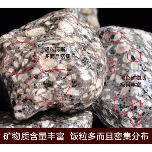 龍魚缸底濾濾材擺放教程圖解 龍魚缸底濾濾材擺放教程圖解 龍魚百科 第46張