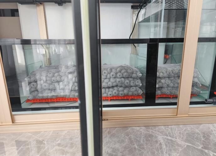 龍魚缸底濾濾材擺放教程圖解 龍魚缸底濾濾材擺放教程圖解 龍魚百科 第28張