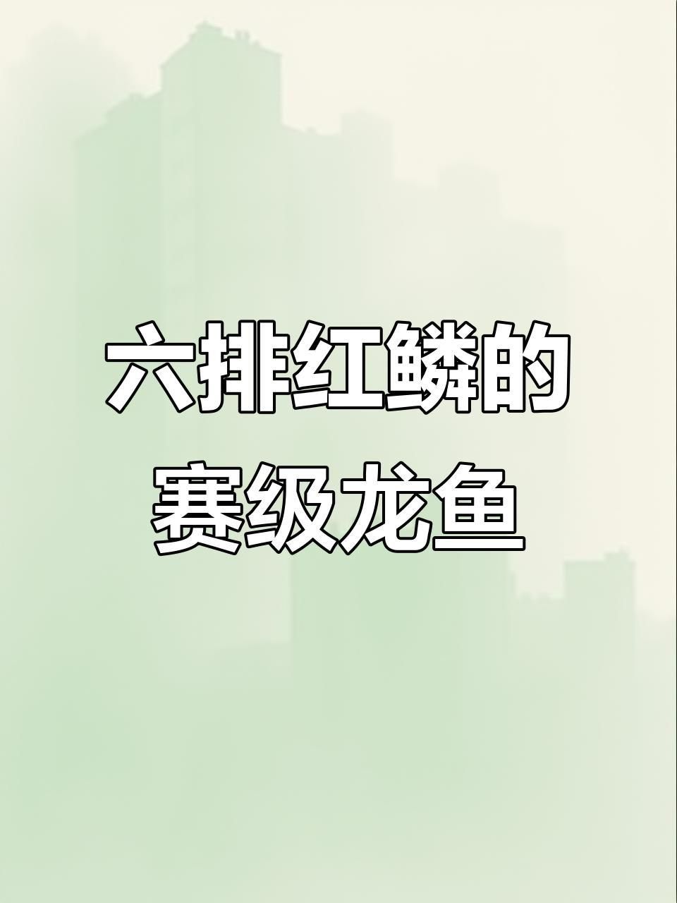 金龍魚壁紙豎屏：關于金龍魚壁紙豎屏的相關信息 金龍魚壁紙豎屏：關于金龍魚壁紙豎屏的相關信息 龍魚百科 第3張