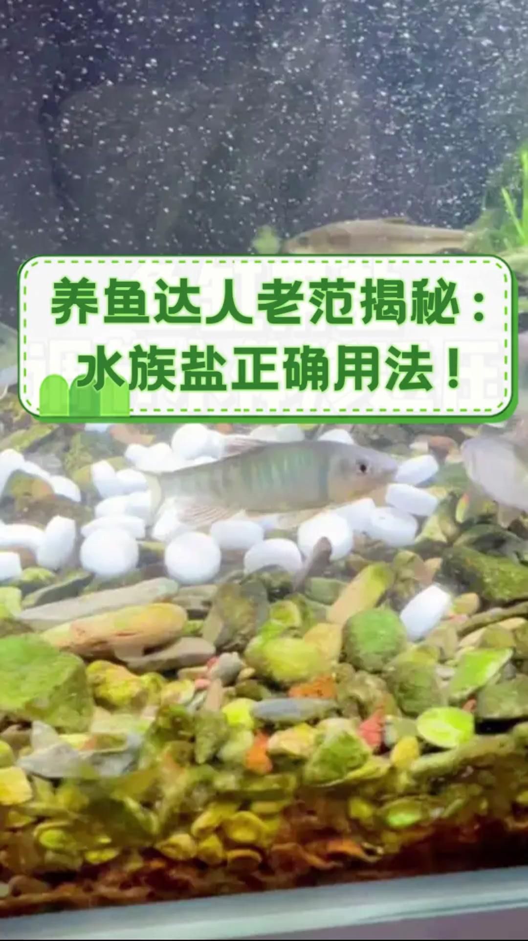 馬印水族魚缸鹽的正確使用方法視頻