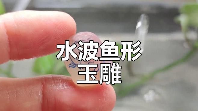 玉石龍魚圖片欣賞大全