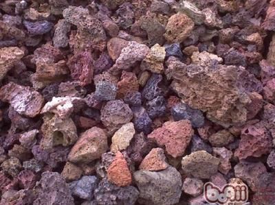 養龍魚放火山石到底好不好：養龍魚放火山石到底好不好養龍魚放火山石到底好不好