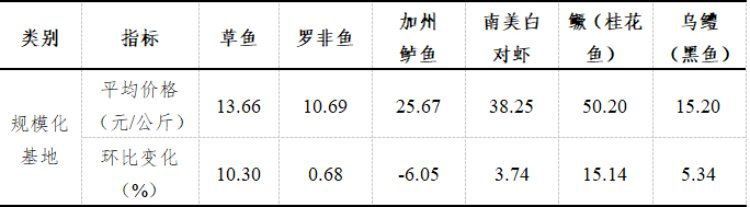 羅漢魚2024年最新行情