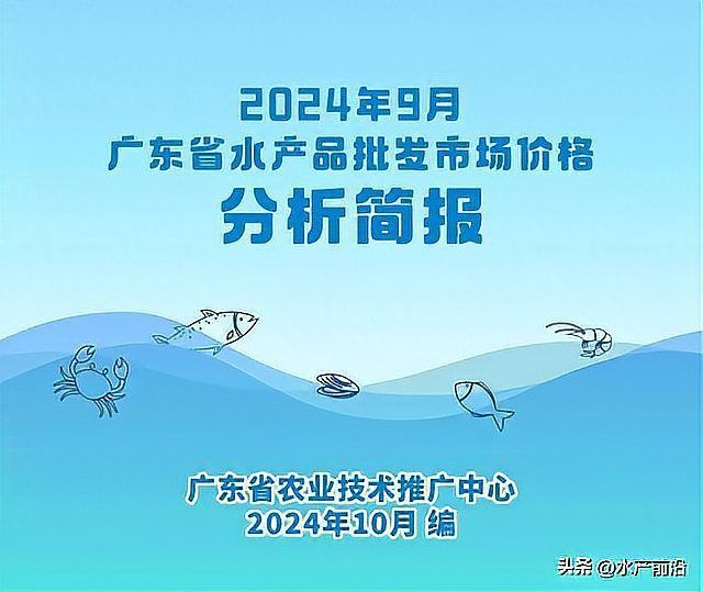 羅漢魚2024年最新行情