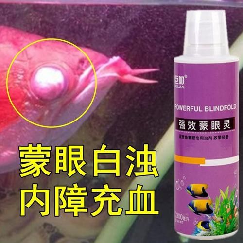 龍魚蒙眼的原因和治療方法圖片視頻大全集 龍魚百科 第23張 龍魚蒙眼的原因和治療方法圖片視頻大全集 龍魚蒙眼的原因和治療方法圖片視頻大全集 龍魚百科 第23張