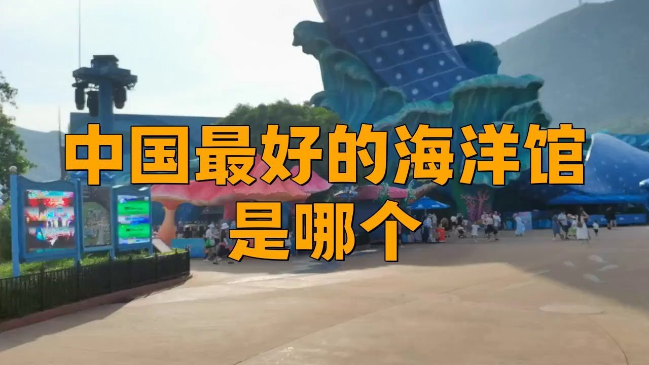 哪個海洋館最值得去 哪個海洋館最值得去 龍魚百科 第1張