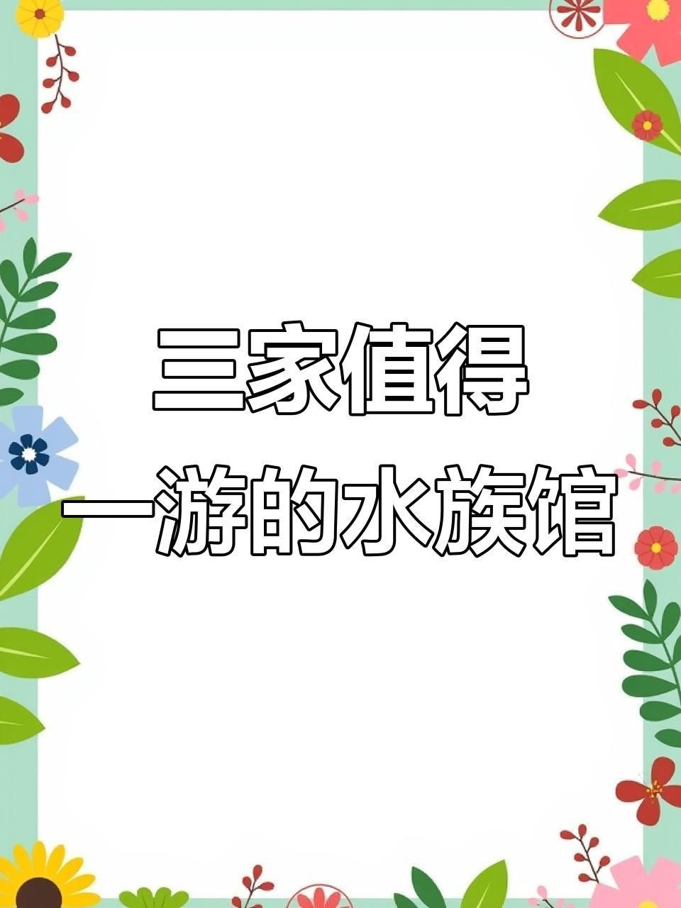 哪個海洋館最值得去 哪個海洋館最值得去 龍魚百科 第6張