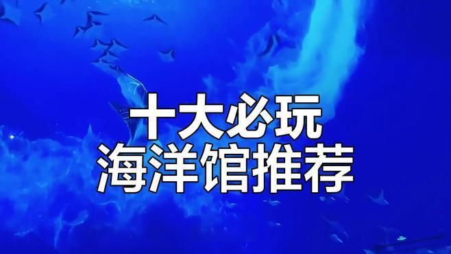 哪個海洋館最值得去 哪個海洋館最值得去 龍魚百科 第3張
