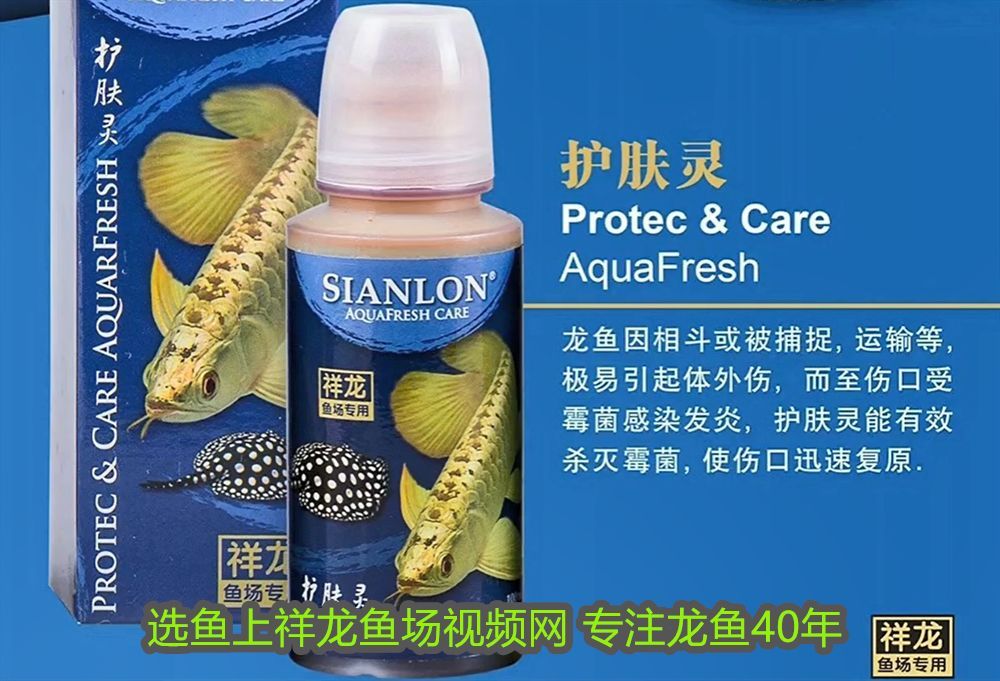 龍魚水質(zhì)檢測(cè)哪些不合格的魚不能養(yǎng)：龍魚水質(zhì)檢測(cè)中常見(jiàn)的不合格指標(biāo)及應(yīng)對(duì)措施