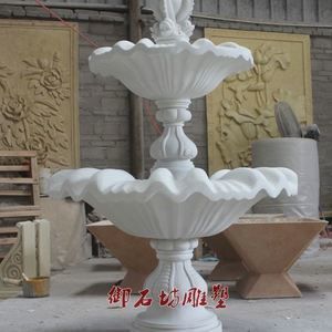 金龍魚花盆種什么花：金龍魚花盆種什么花卉 金龍魚花盆種什么花：金龍魚花盆種什么花卉 龍魚百科 第3張