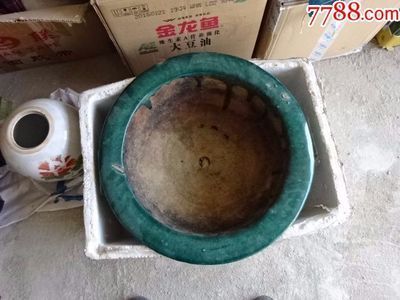 金龍魚花盆種什么花：金龍魚花盆種什么花卉 金龍魚花盆種什么花：金龍魚花盆種什么花卉 龍魚百科 第1張