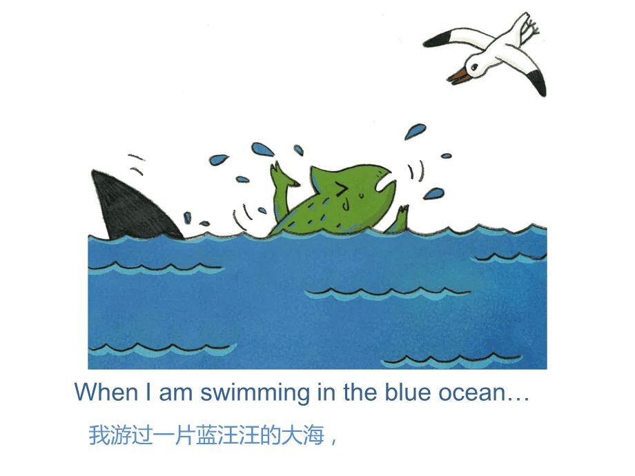 龍魚鑒賞PPT：關于龍魚鑒賞ppt的詳情