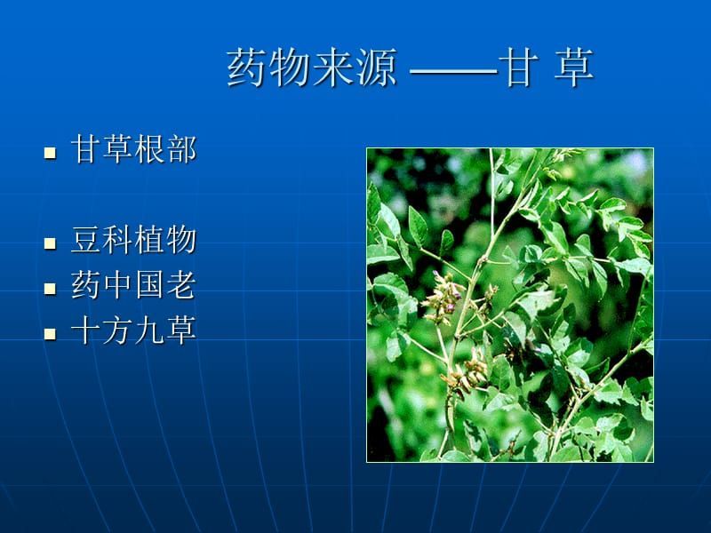 龍魚鑒賞PPT：關于龍魚鑒賞ppt的詳情