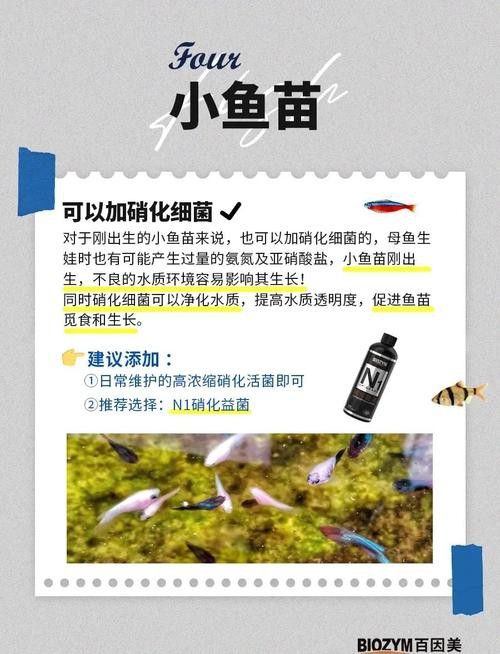 養(yǎng)龍魚要加硝化細菌嗎