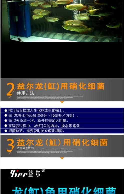 養(yǎng)龍魚要加硝化細菌嗎