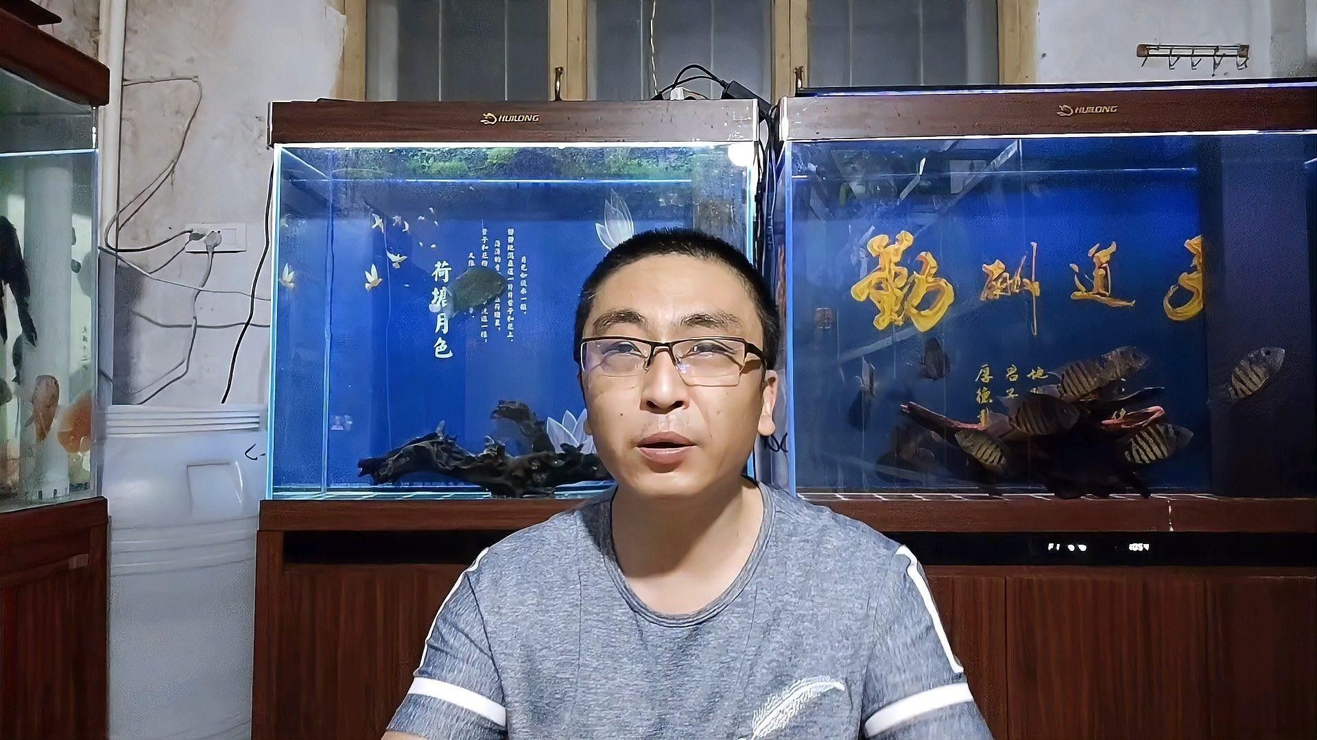 養(yǎng)龍魚要加硝化細菌嗎