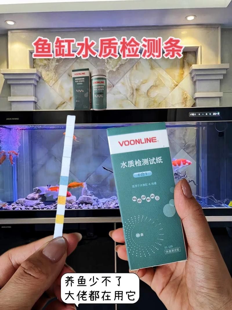 如何判斷龍魚缸材質的好壞？