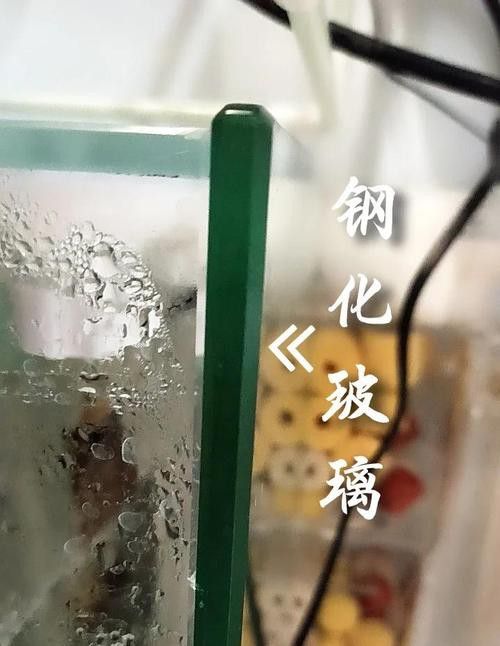 如何判斷龍魚缸材質的好壞？