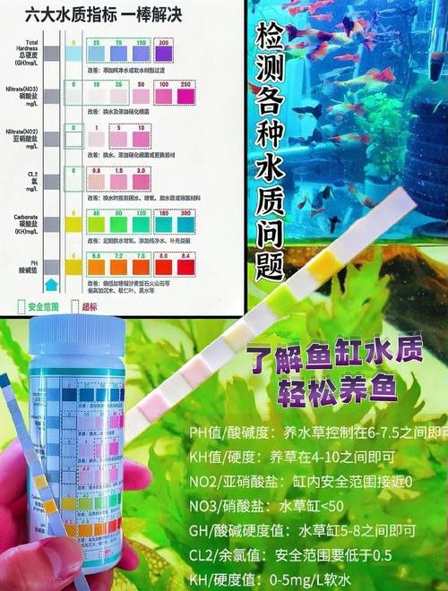 如何判斷龍魚缸材質的好壞？