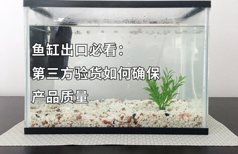 如何判斷龍魚缸材質的好壞？