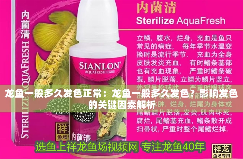 龍魚一般多久發色正常：龍魚一般多久發色？影響發色的關鍵因素解析