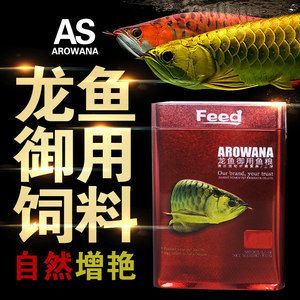 金龍魚30公分用多大的發色燈【如何選擇金龍魚發色燈】 金龍魚30公分用多大的發色燈【如何選擇金龍魚發色燈】 龍魚百科 第4張