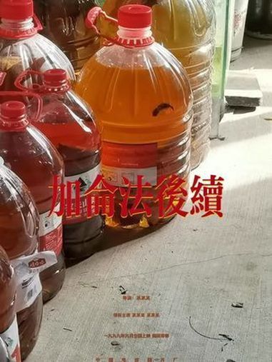 紅帝王黑魔神雷龍魚怎么爆梅花 紅帝王黑魔神雷龍魚怎么爆梅花 龍魚百科 第14張