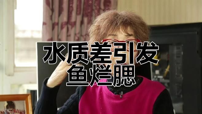 龍魚鰓蓋爛掉的癥狀有哪些？ 龍魚鰓蓋爛掉的癥狀有哪些？ 龍魚百科 第1張
