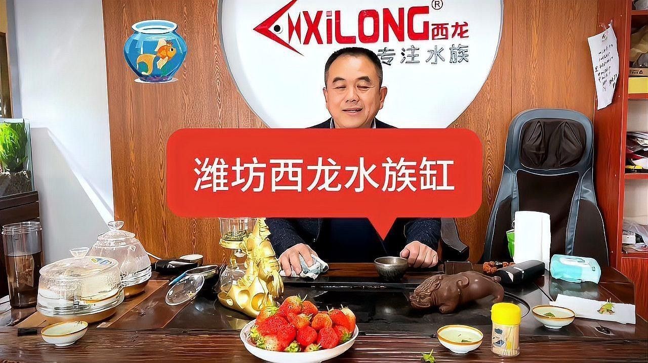 西龍魚缸是哪里生產的啊多少錢