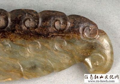 龍魚怎么搭配好看又好養：龍魚怎么搭配好看又好養龍魚怎么搭配好看又好養