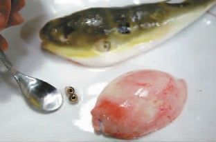 龍魚眼有白點(diǎn)怎么消除：龍魚眼睛出現(xiàn)白點(diǎn)可能是由于水質(zhì)問題，龍魚白點(diǎn)病因及預(yù)防措施