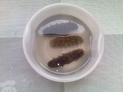 龍魚眼有白點(diǎn)怎么消除：龍魚眼睛出現(xiàn)白點(diǎn)可能是由于水質(zhì)問(wèn)題，龍魚白點(diǎn)病因及預(yù)防措施