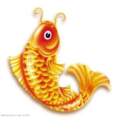 金龍魚頭像卡通：關(guān)于金龍魚頭像卡通的相關(guān)資源