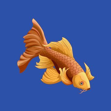 金龍魚頭像卡通：關(guān)于金龍魚頭像卡通的相關(guān)資源