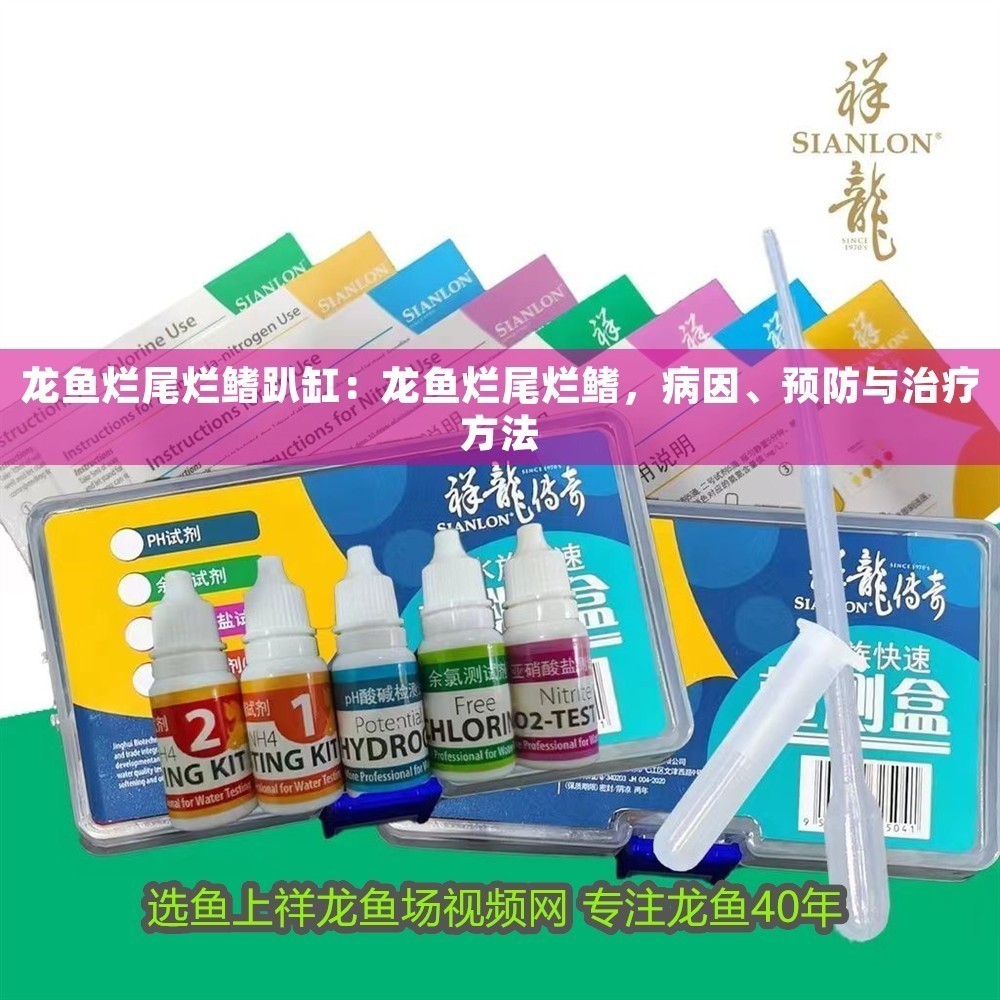 龍魚爛尾爛鰭趴缸：龍魚爛尾爛鰭，病因、預(yù)防與治療方法