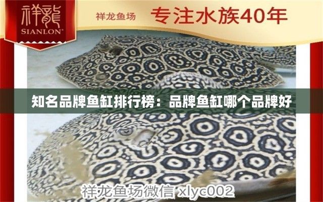 知名魚缸品牌