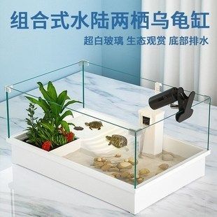 六角恐龍魚飼養缸：六角恐龍魚飼養缸的選擇與布置 六角恐龍魚飼養缸：六角恐龍魚飼養缸的選擇與布置 龍魚百科 第2張