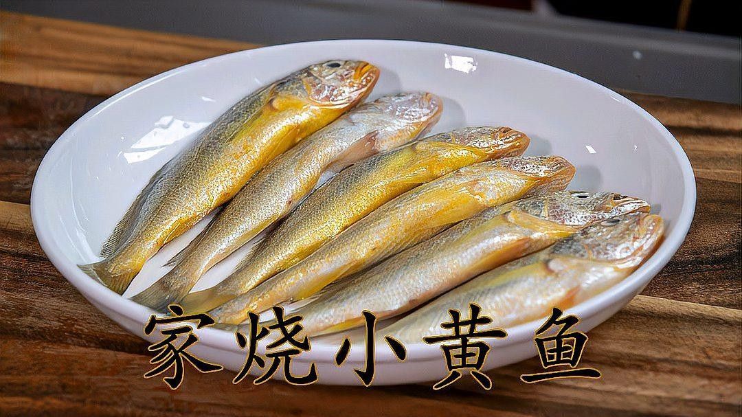 黃公龍魚營養價值及功效與作用