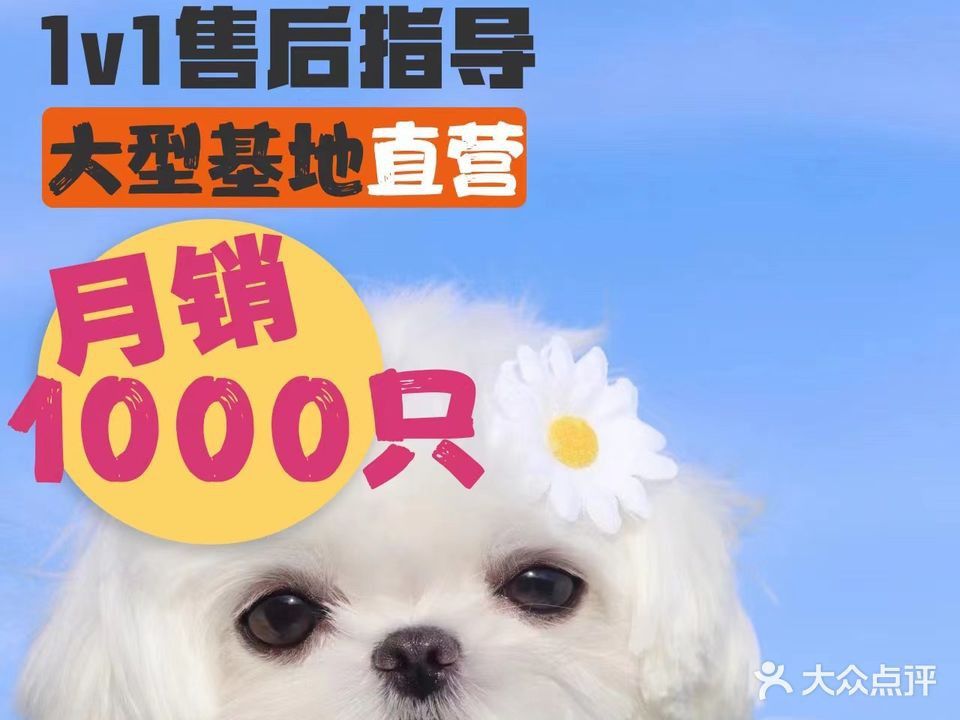 無錫龍魚寄養(yǎng)基地地址查詢