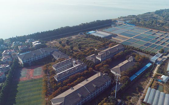 無錫龍魚寄養(yǎng)基地地址查詢