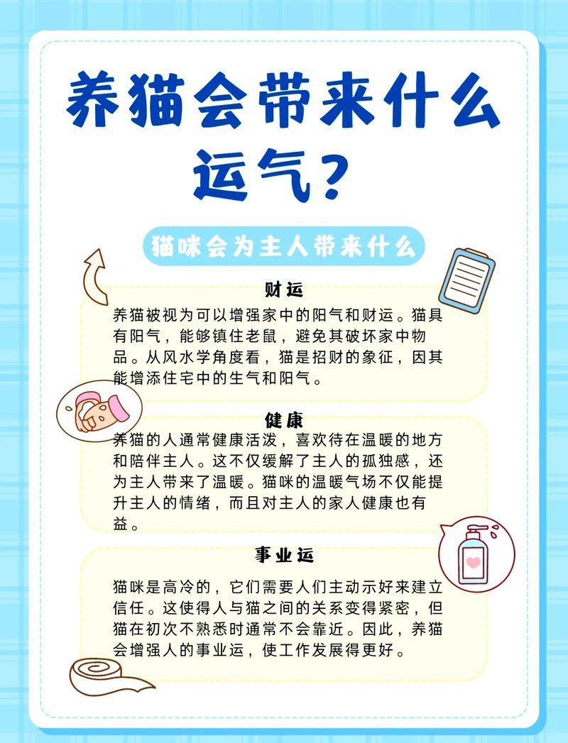龍貓是聚財還是破財