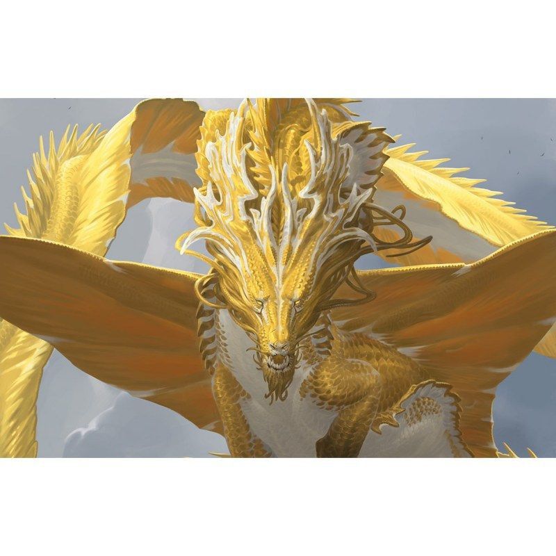 金龍是哪種龍