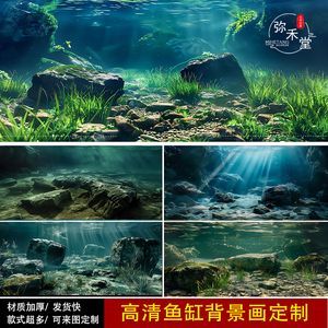 龍魚缸背景的選擇與設計（選擇和設計龍魚缸背景圖案時需要考慮的因素有很多）