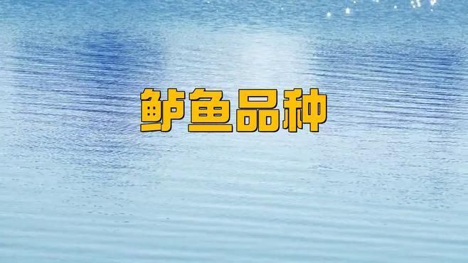 鱸魚有幾種