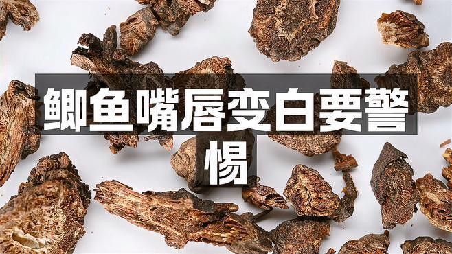 有哪些藥物可以有效治療龍魚嘴上的白色肉球？