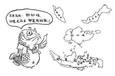極魚龍魚：極魚龍魚缸售后服務不佳，實體店售后服務更是不懂
