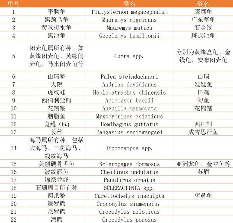 龍魚經(jīng)營許可證